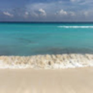 Meet your Posher, Arlyne